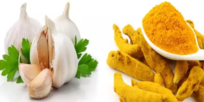 आप भी अपने खाने में इन चीजों का करे सेवन से दूर जायेगा कैंसर