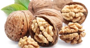 Image result for गले के इन्फेक्शन को दूर करता है अखरोट