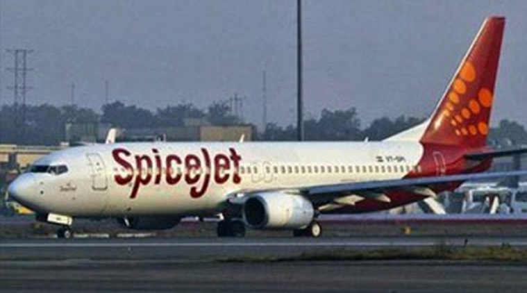 महिला दिवस: SpiceJet ने महिलाओं को दिया खास तोहफा, इन पदों पर निकाली वैकेंसी